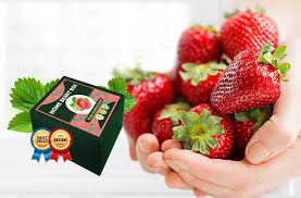 Home Berry Box - recensies - wat is - gebruiksaanwijzing - bijwerkingen