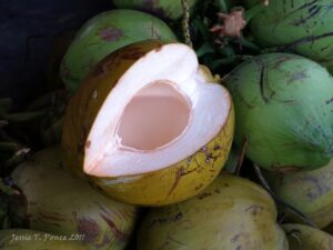 Tropische ananas- en kokosijsjes