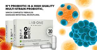 N°1 probiotic - wat is - bijwerkingen - gebruiksaanwijzing - recensies